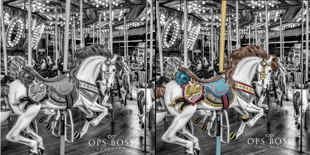 CBG_ “ARE YOU THE HORSE ON THE LEFT OR THE HORSE ON THE RIGHT_”